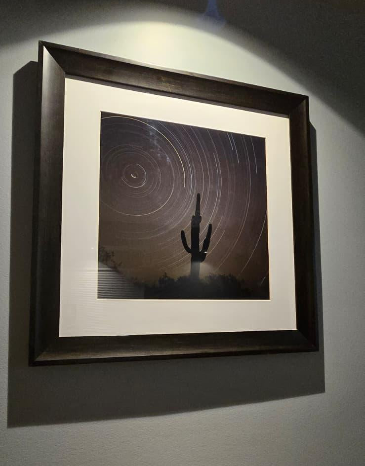 Sonora desert