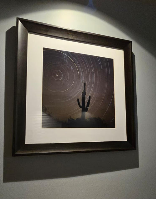 Sonora desert