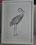 The Sandhill Crane (Antigone Canadensis) - Minimalist Natural Print
